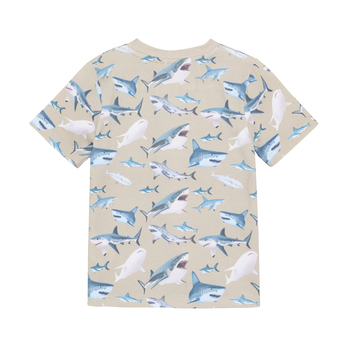 Rückansicht Minymo Kinder T-Shirt mit Hai Muster, nachhaltige Kindermode im Bärechind Winterthur Zürich Schweiz.