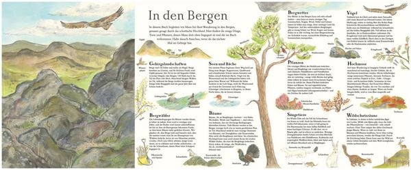 Illustrierte Übersicht zu Tieren und Pflanzen der Berge aus Mit Maus in den Bergen