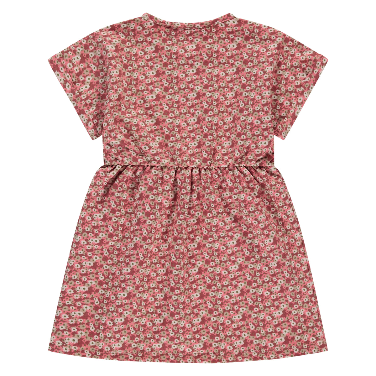 Rückansicht des Kurzarm Kleids von Stains & Stories in Beige mit geraffter Taille im Bärechind