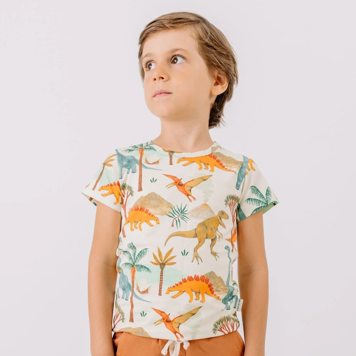 Kinder T-Shirt mit buntem Dinosaurier Muster aus Bio Baumwolle von Walkiddy – Bärechind Winterthur Zürich Schweiz
