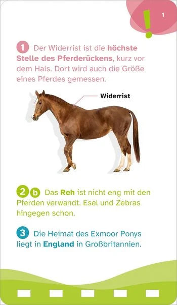 Beispielseite aus dem WAS IST WAS Quiz Pferde